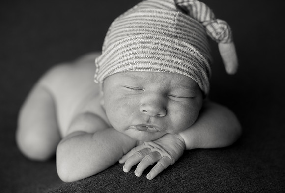 fehring-3