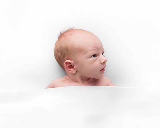eberle-1