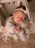norafehring-2
