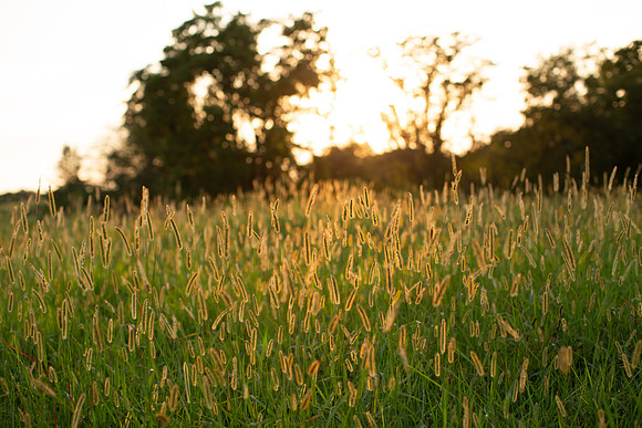 sunsetridge-6
